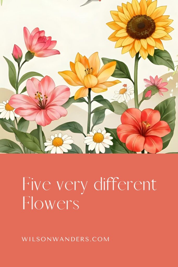 flowers sunflower daisey hibiscus rose tulip